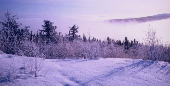 �A���X�J�̐ጴ