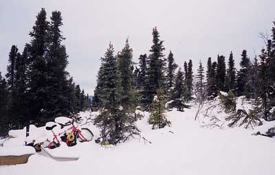 �A���X�J�̐ጴ