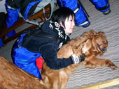 ���ɗV�΂�Ă���Ђ�