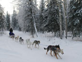 ������c�A�[