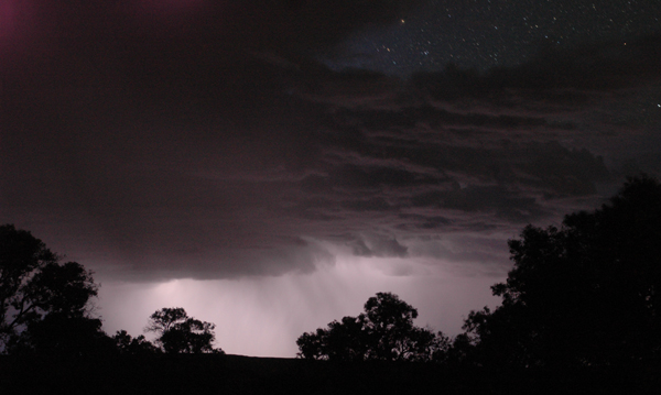 ��͐��V�A���͗��J