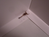 ���N�̓T�\�����o�܂���