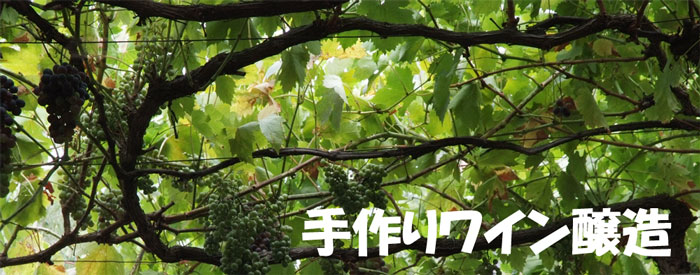 ���胏�C������